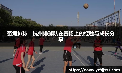 bsports登录入口